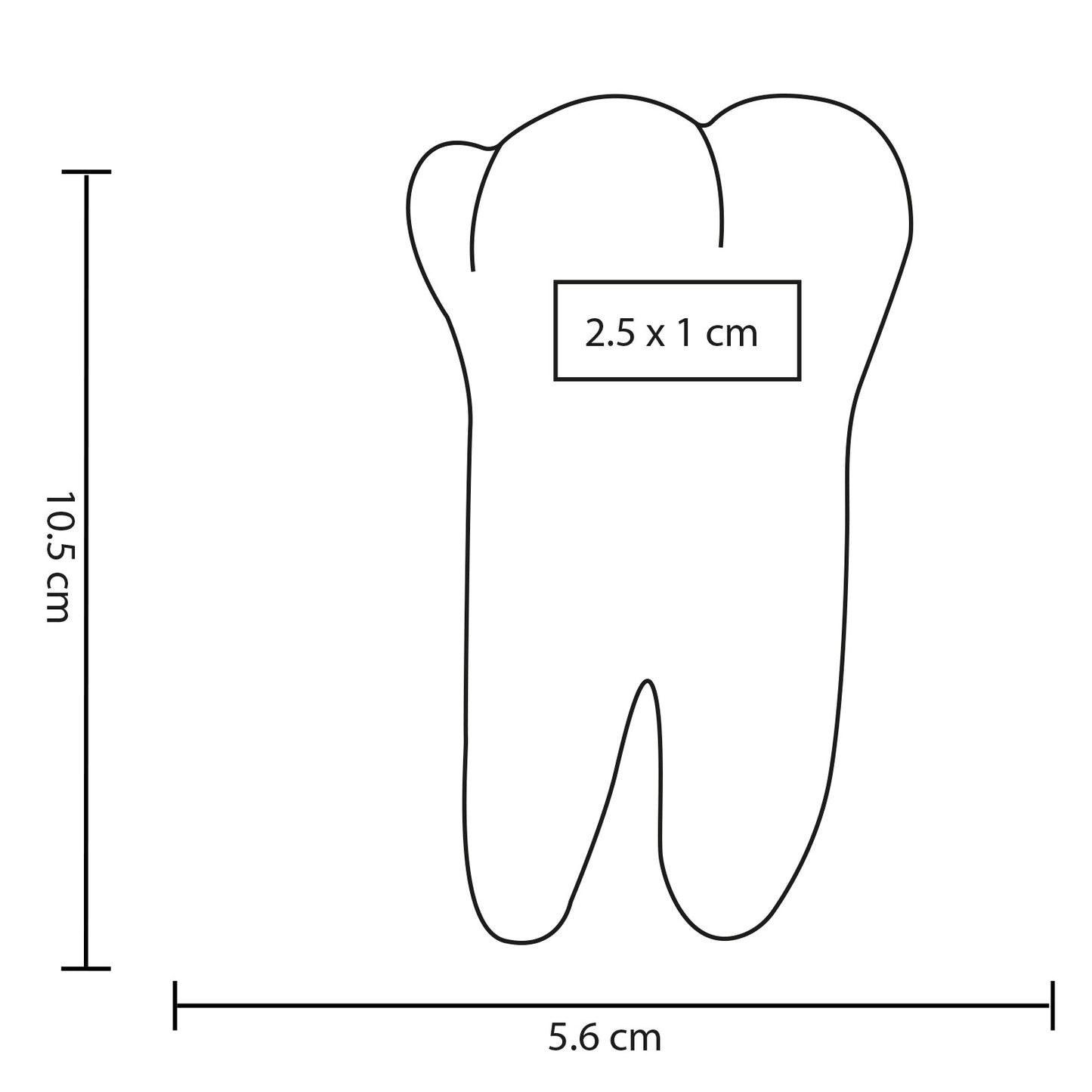 Antiestrés de muela.