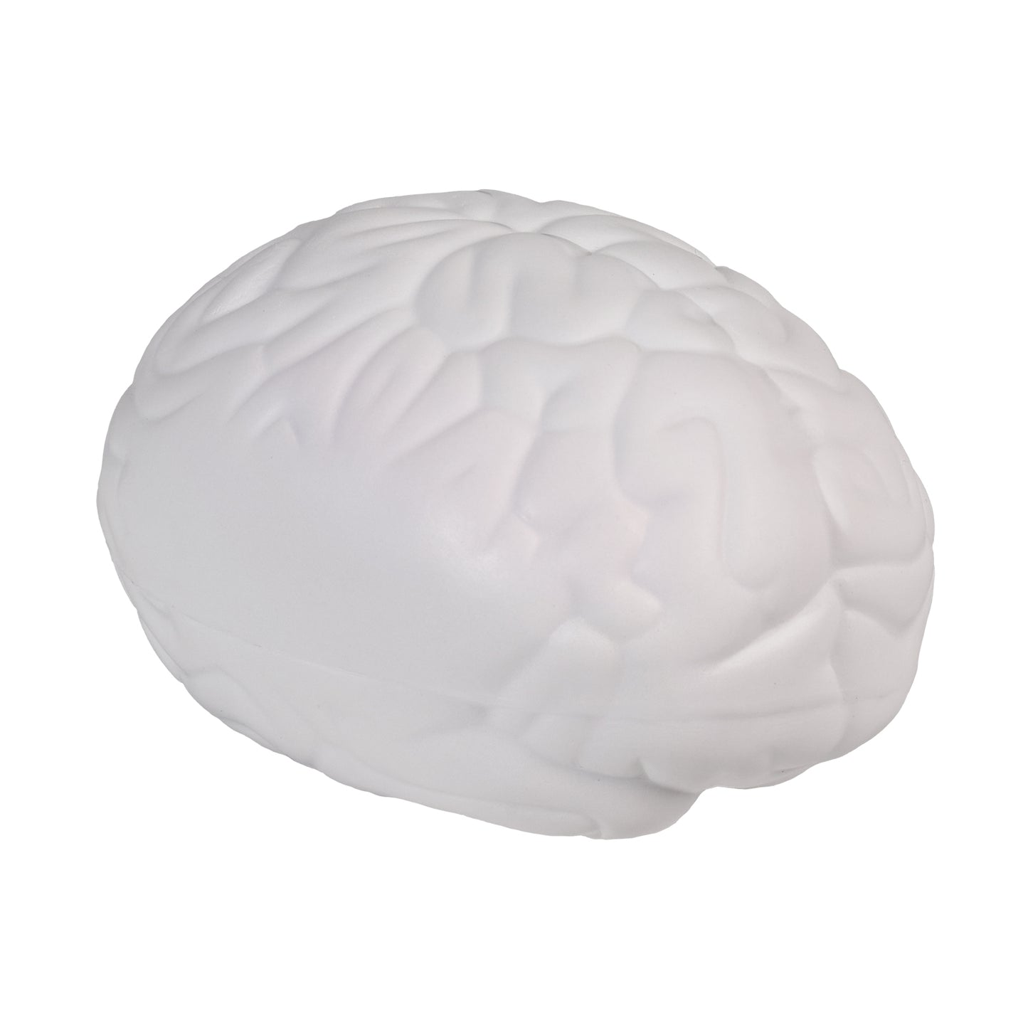 Squishy de cerebro.