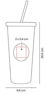 VASO PRIDE TMPS 219